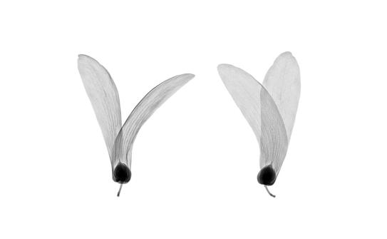 绉戠爺澹佺焊,绉戠爺浜虹殑鏂板勾澹佺焊