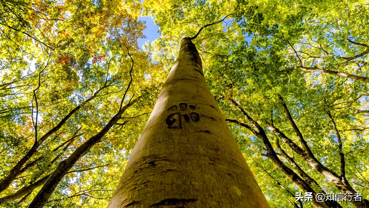 逆向思维能力不行该怎么办,逆向思维的正确做法