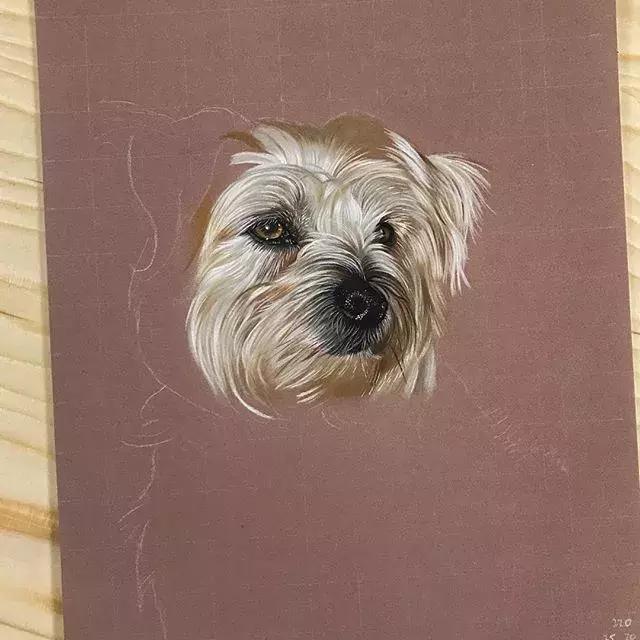 彩铅不会涂色怎么办,彩铅绘画干货