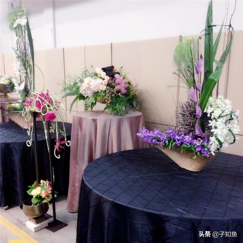 最难被人算计的星座聪明却不外露,愿意吃亏却不被辜负的星座