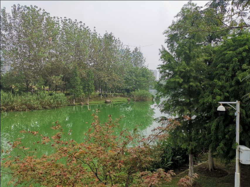 塘西河公园最新视频,塘西河湿地公园