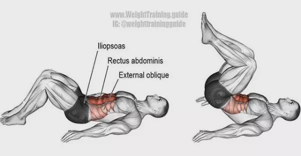 胸肩背臂腿腹训练动作,腰臀肌肉训练方法