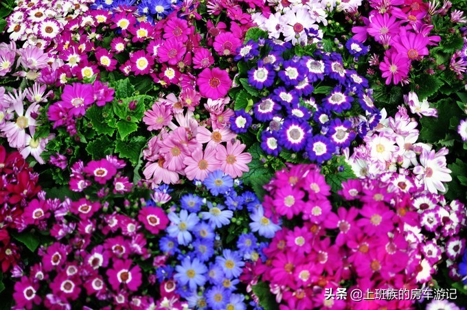 南通狼山一日游详细攻略图,夏天南通狼山一日游详细攻略