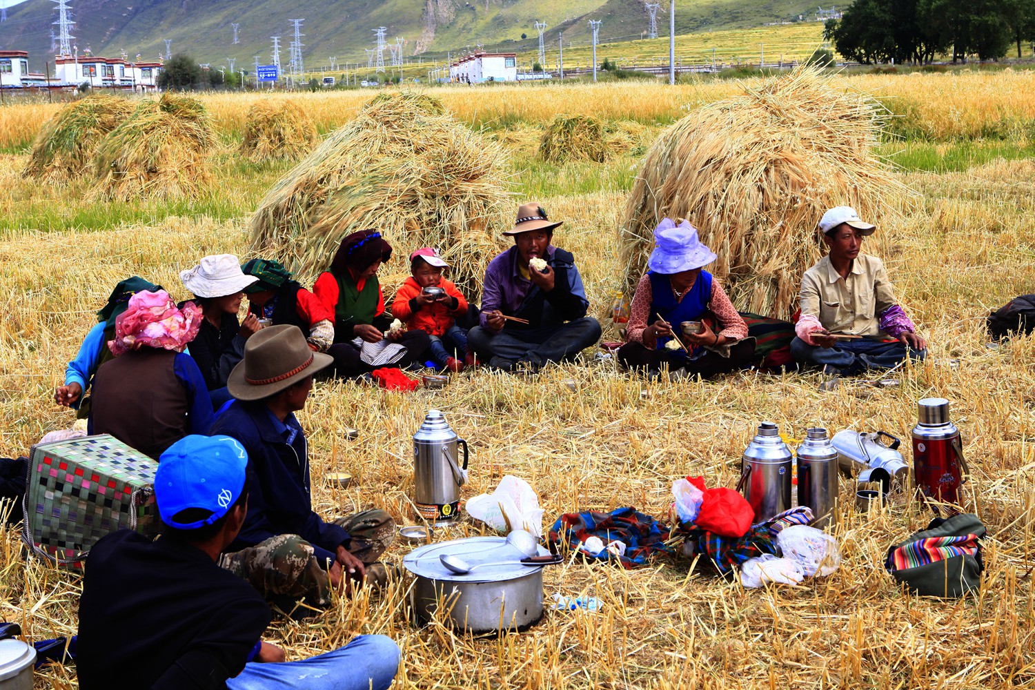 丰收快乐节,农民丰收节唱出丰收喜悦