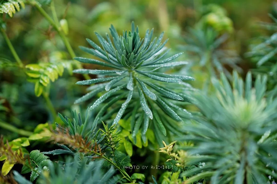 世界最美监狱,号称世界最美监狱