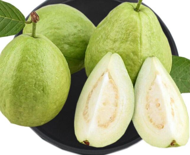 比熊类狗狗可以吃的水果有哪些,比熊犬能吃的水果清单