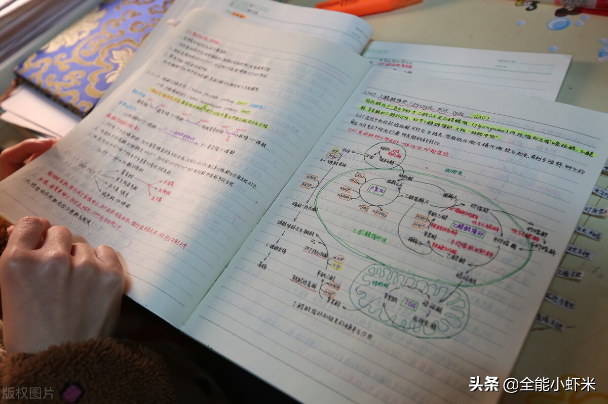 全国公认的康奈尔笔记法,康奈尔5r笔记法