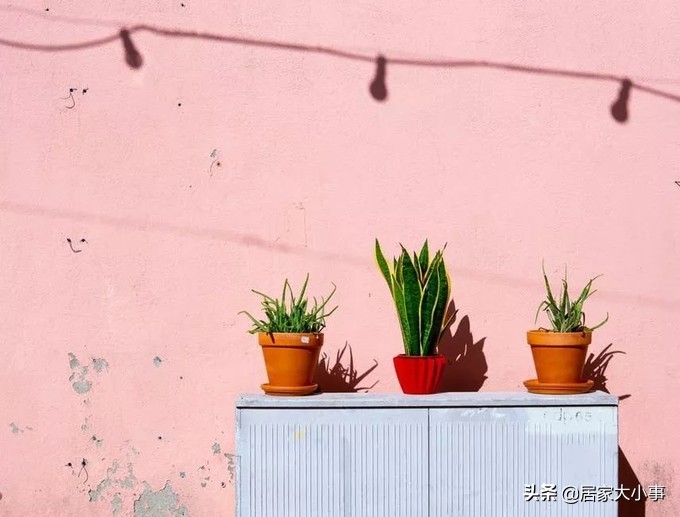 墙壁发霉脏怎么刷,家里墙壁脏自己怎么重头刷