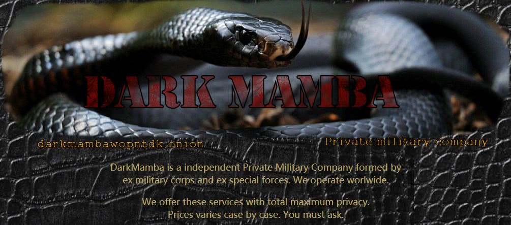 神秘恐怖的暗网，快要被玩死了