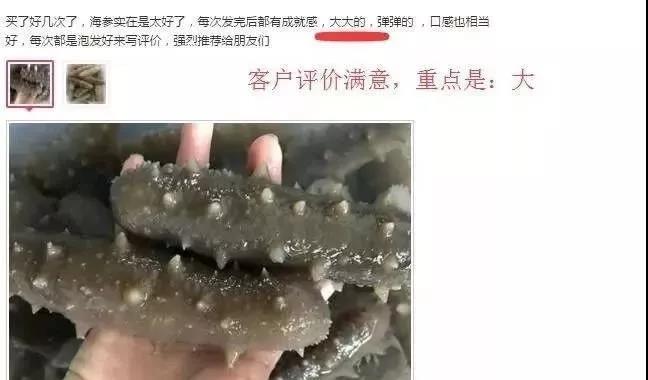为什么网上卖的海参这么便宜 (为什么网上卖的即食海参那么便宜)