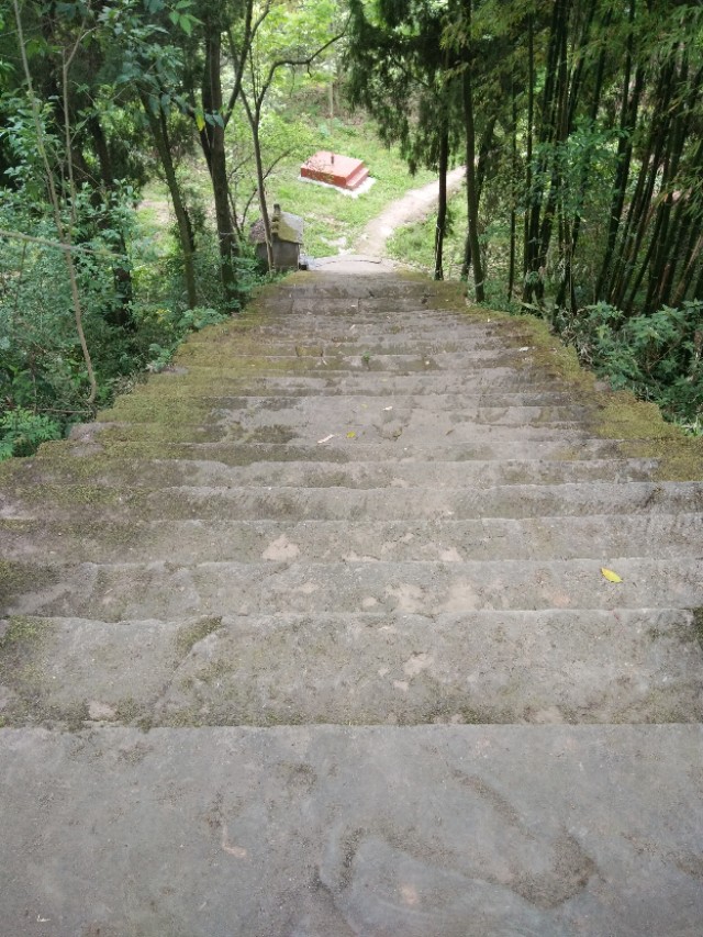 《天笙妙寨》文l胡立夫.愚夫主义原创