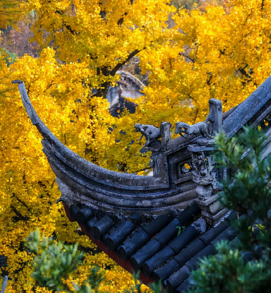 说到太湖，为何第一个想到“无锡”？｜方志江苏