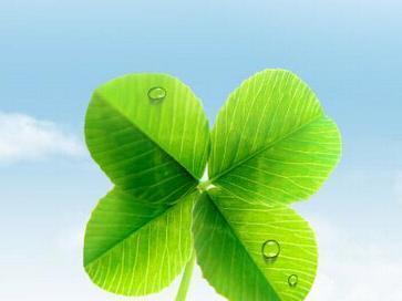 心理学：面对辍学的孩子，家长该怎么办？