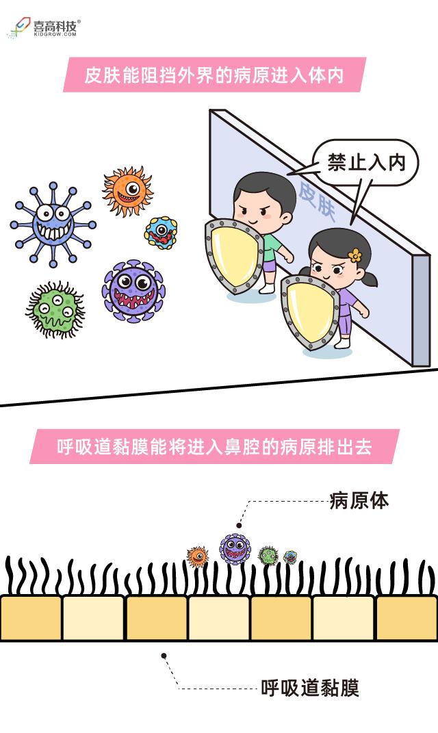 不爱生病的孩子，都在做这4件事，你家娃做到了吗？