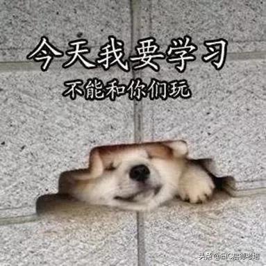 为什么雅思考题被骂,为啥很多人嘲笑中式英语