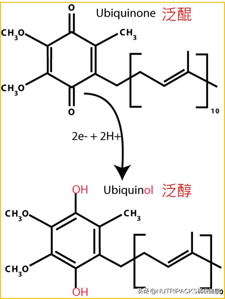 国内保健品和国外保健品的区别，为什么都要代购国外保健品