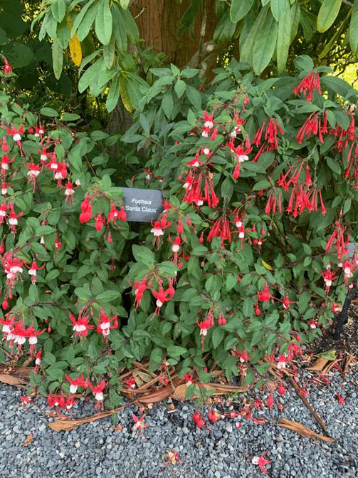 18天我和俩娃，西雅图家庭自由行，民宿、雪山、游艇……好玩刺激