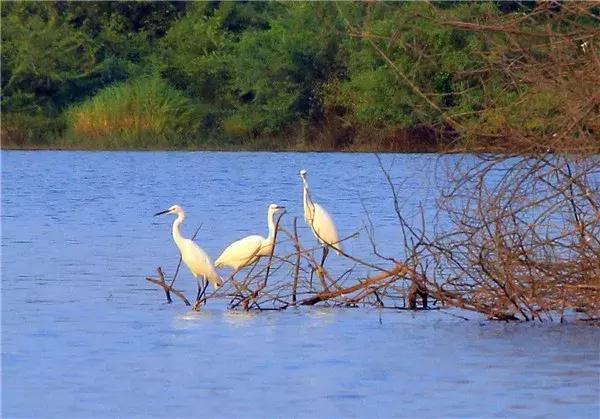广东旅游景点游乐场玻璃桥,仙女山旅游攻略溶洞