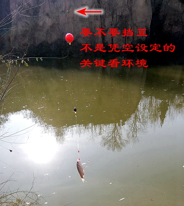 路亚钓大板鲫用什么假饵,路亚活饵钓鲫鱼如何操作