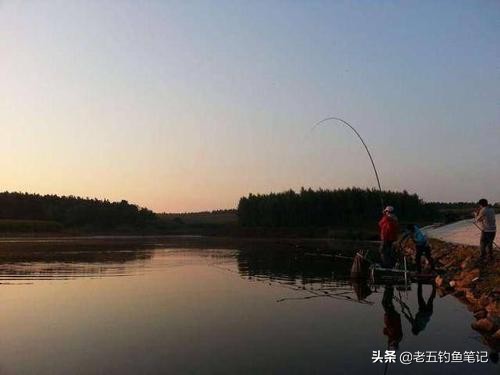 秋天的鱼肥美吗,秋天下雨过后的鱼好钓吗