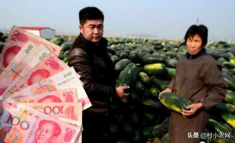 做杂粮煎饼生意一年能挣多少钱,怎么创业做煎饼店铺赚钱