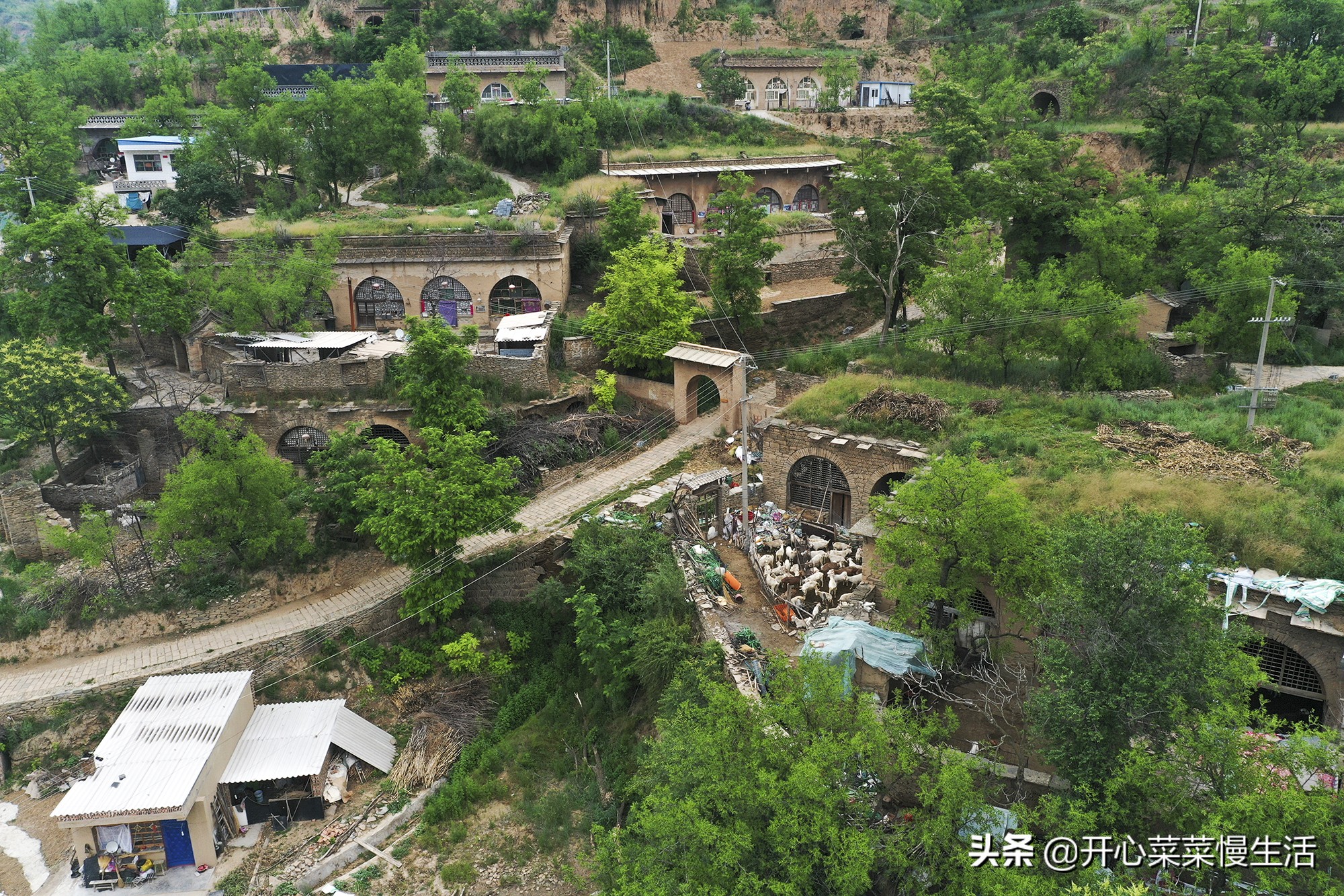 陕北黄土高坡旅游一日游,黄土高原陕北旅游