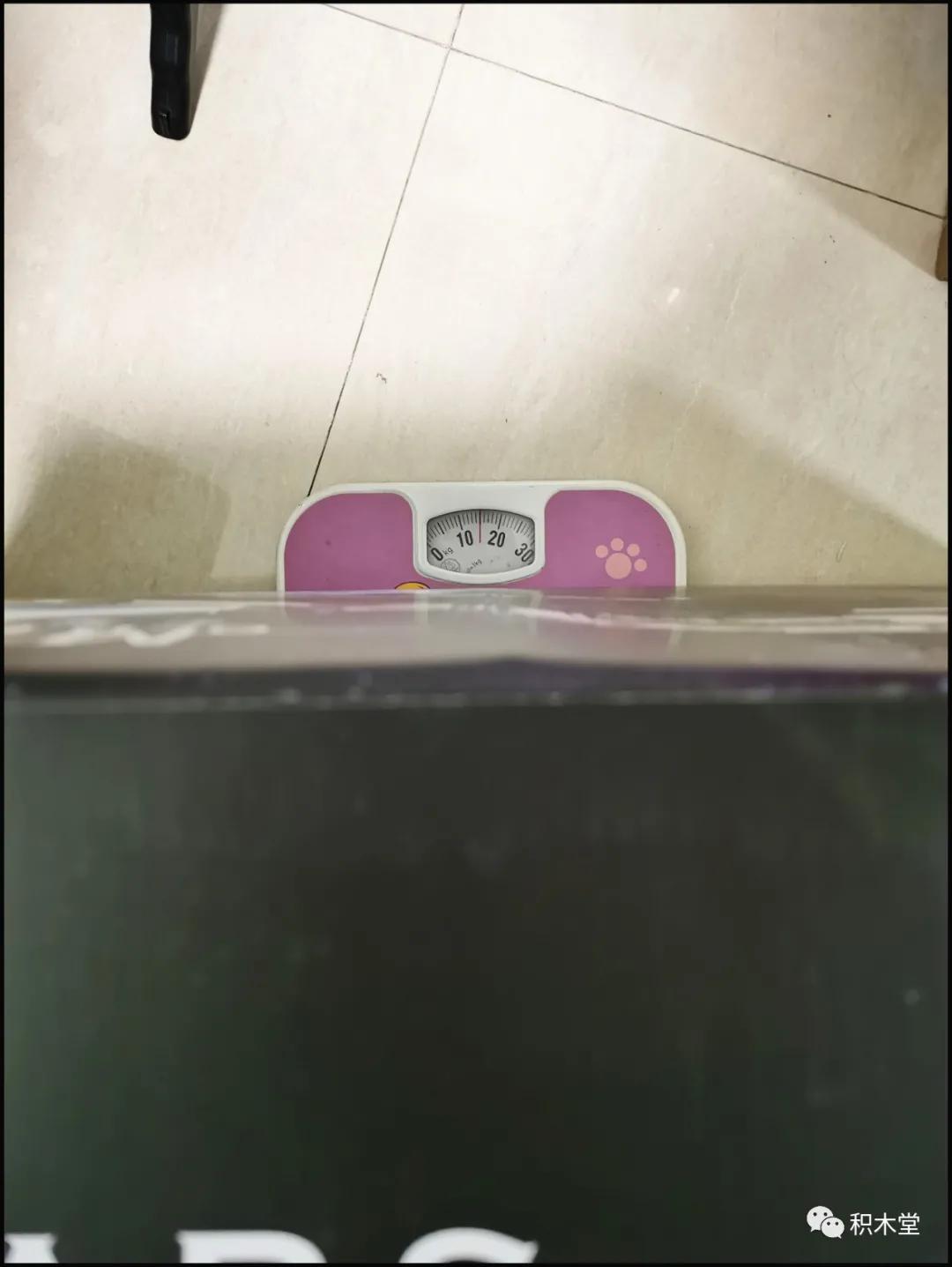 宇星模王的手枪,宇星模王手枪