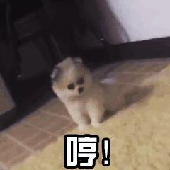 买不起昂贵的包包,买不起奢侈品包却想买香奈儿