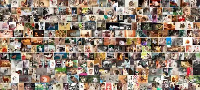 机器学习到底有多可怕,机器学习真的能教你所有事情吗