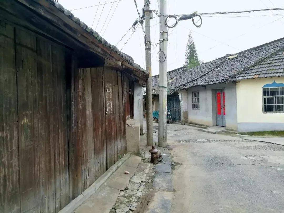 那些年你不能错过的rose的翻唱,那些年你不能错过的美食