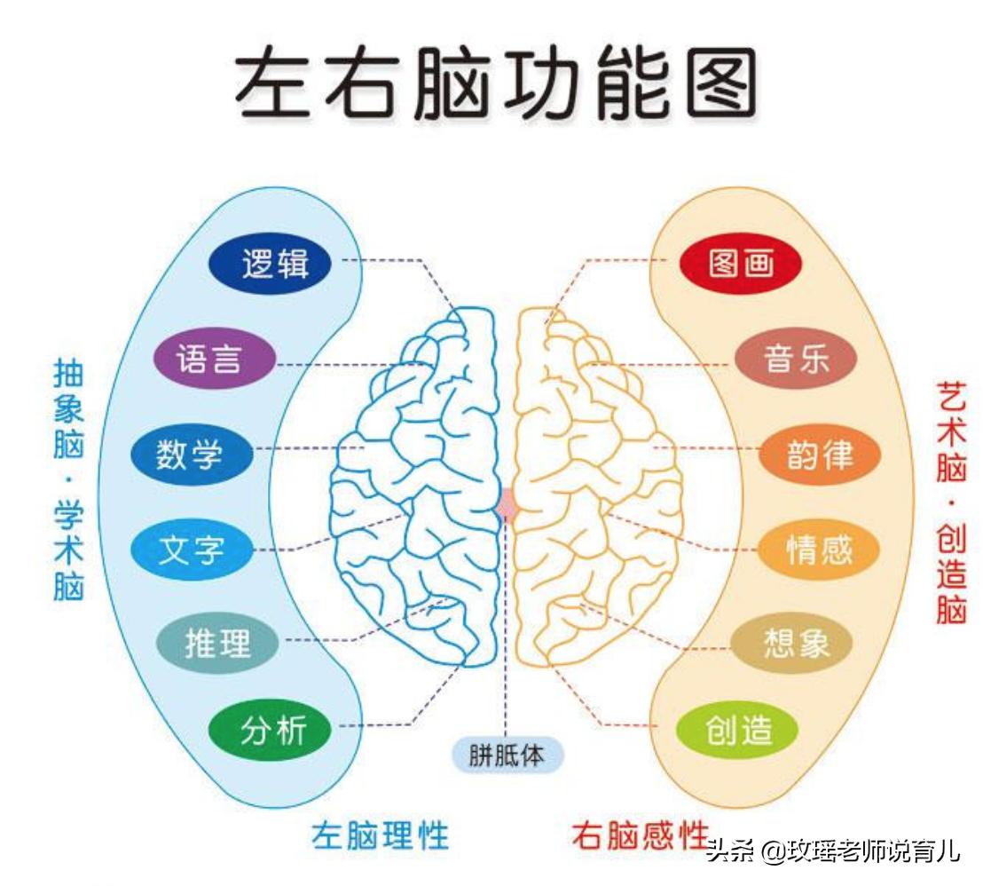 孩子是左撇子怎么办？需要纠正吗？看看孩子的“优势半球”再决定