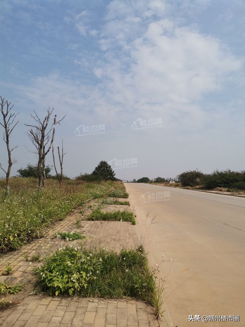赣州蓉江新区2024拍地计划,赣州章江新区土拍