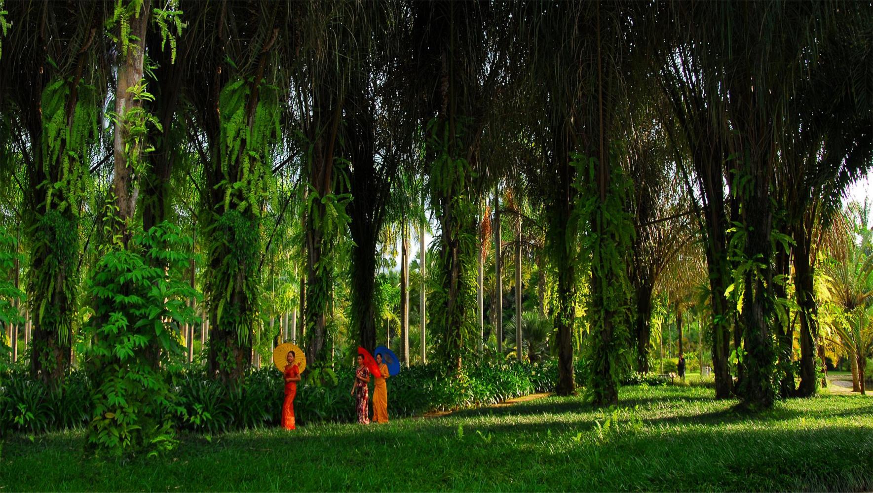 去云南玩十天可以玩些什么景点,云南有哪些景区攻略一下