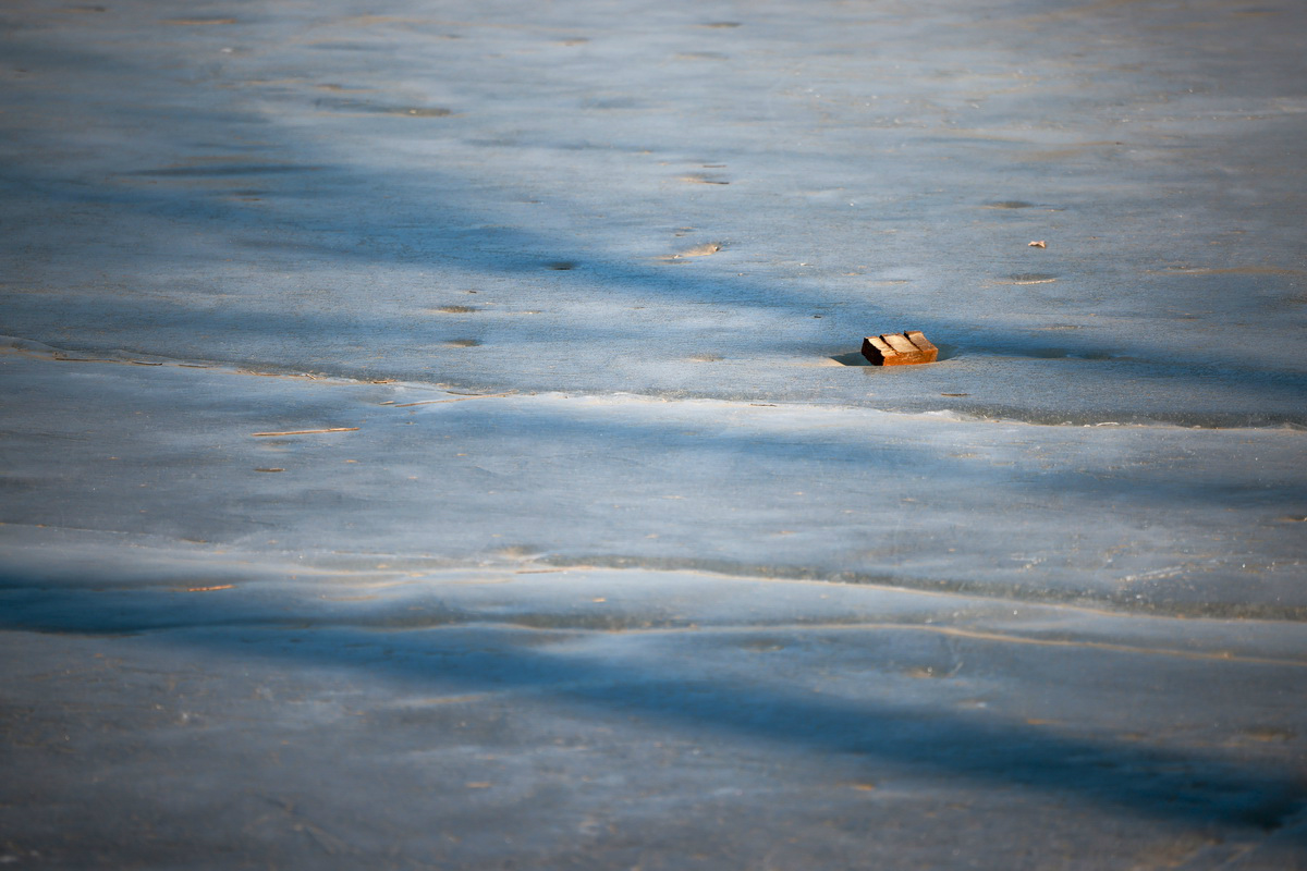 史上最轻便长焦利器佳能RF70-200mmF4L镜头评测