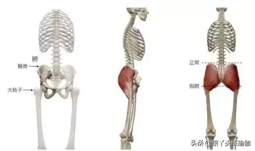 假胯宽最快最有效的动作,改善假胯宽最有效的瑜伽动作