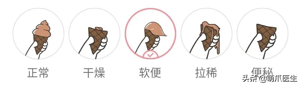 猫咪软便和拉稀的区别是什么,猫咪软便拉稀是如何处理