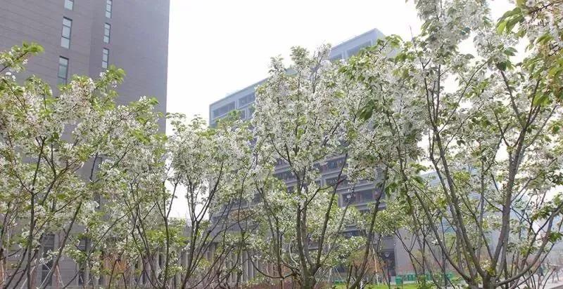 浣犱滑瀹夊績鑰冭瘯鎴戜滑鐢ㄥ績瀹堟姢,鎴戜滑涓轰綘鎶よ埅浣犱滑瀹夊績涓婅
