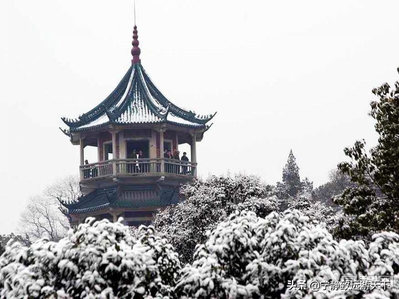 无锡梅园赏梅留念,无锡荣氏梅园简介