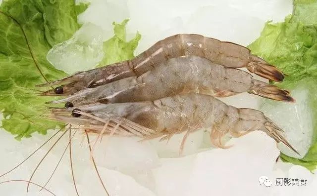 吃海鲜也要讲究时令,吃海鲜最佳的季节是什么时候