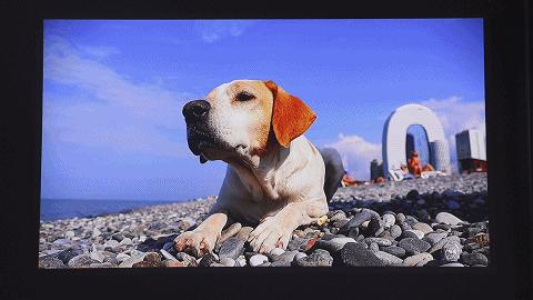 联想t500play和t500的区别,联想T500智能投影