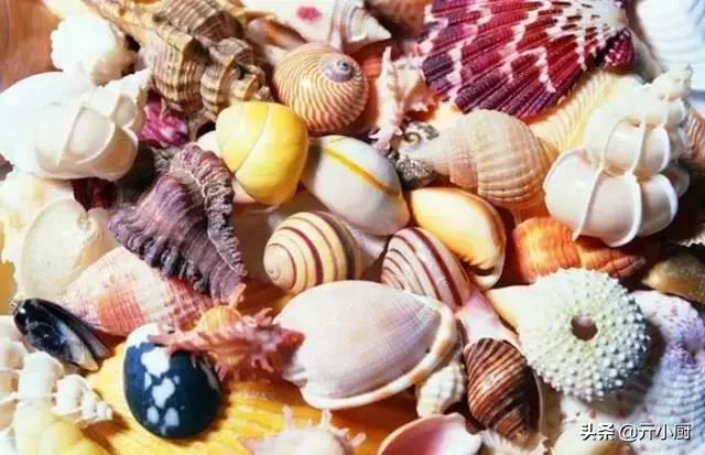 三亚有什么特产带回家送礼的,三亚有特产去哪里买便宜又好