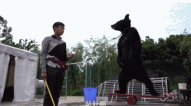 富二代晒骨皮包的残忍真相,人骨皮包的真相