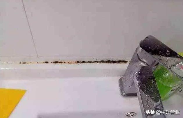 水管里的青苔是霉菌吗,水管有霉菌怎么治疗