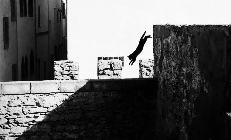 睡觉感觉有猫踩被子,为什么睡觉的时候猫会来回踩我