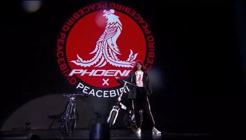 太平鸟事迹承压出海淘金,太平鸟事迹为什么下跌