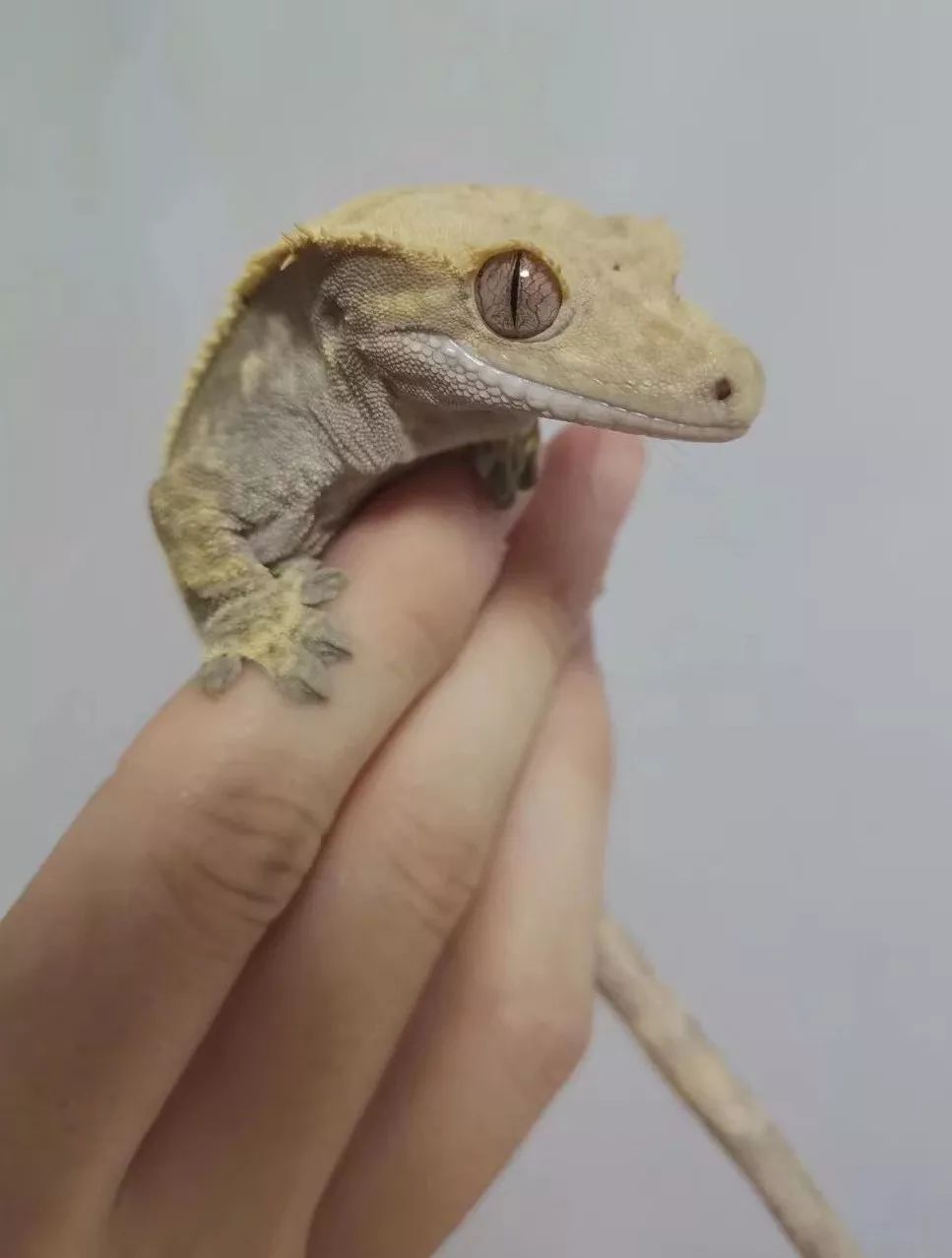 一群博士硕士，动不动“鬼混”到半夜，却干成了件人人称赞的事