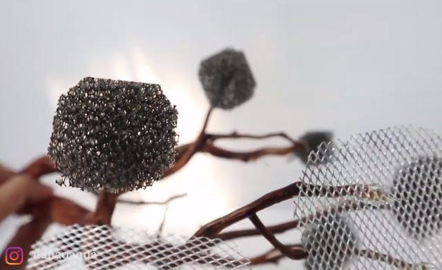 莫斯树到底好不好,莫斯树是什么