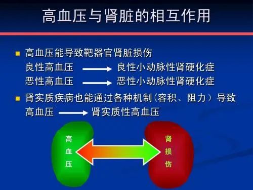 肾性高血压病是怎么引起的,继发性高血压对肾有什么危害