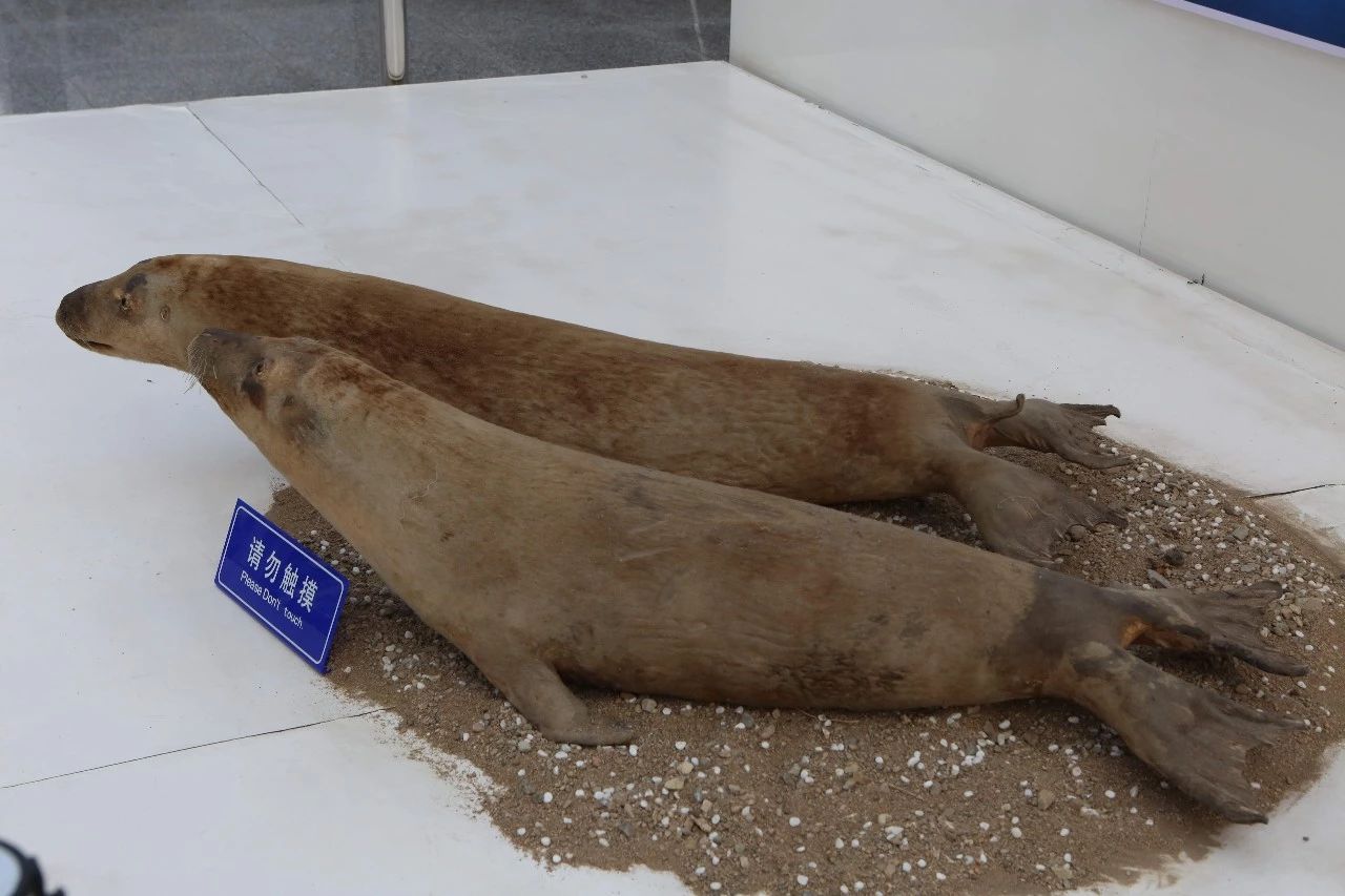 玩转第十八届长春农博会,2019长春冬季农博会票价