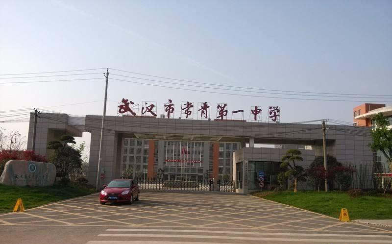 首个示范小区,全国示范小区现状